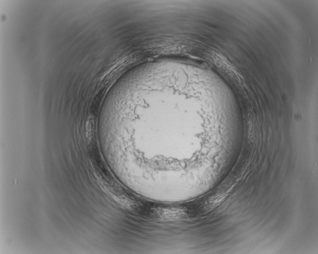 X0000058130165200510171345