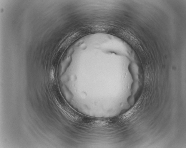 X0000058130166200510171345