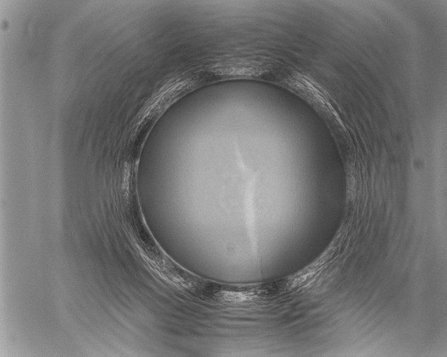 X0000058130167200510171345