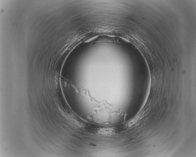 X0000058130168200510171345