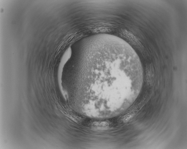 X0000058130169200510171345