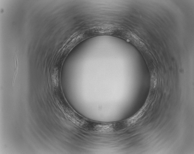 X0000058130170200510171345