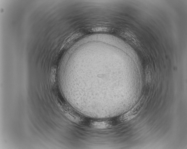 X0000058130171200510171345