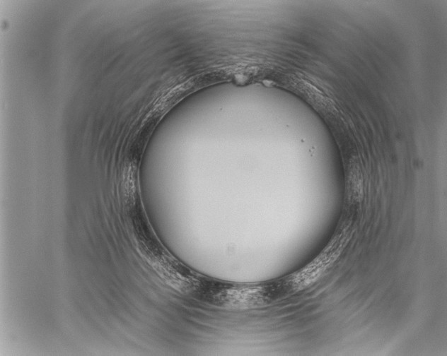 X0000058130172200510171346