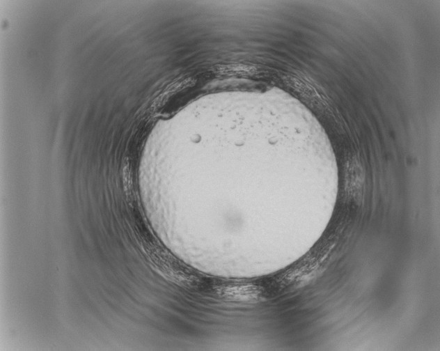 X0000058130173200510171346