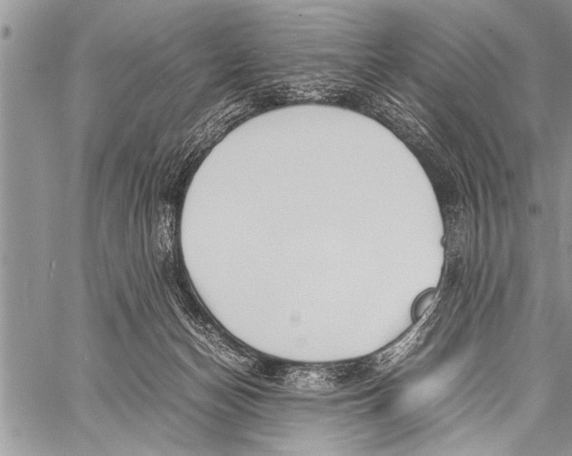 X0000058130174200510171346