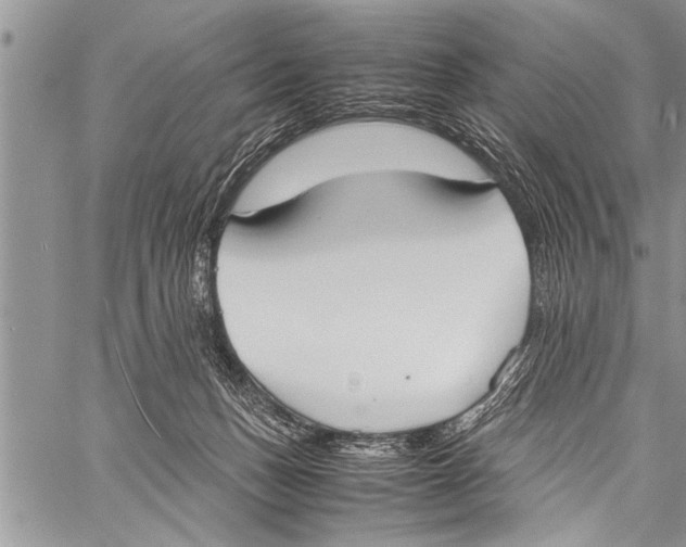 X0000058130175200510171346