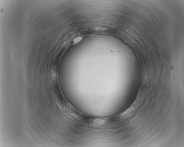 X0000058130176200510171346