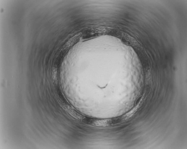 X0000058130178200510171346