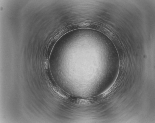 X0000058130180200510171346