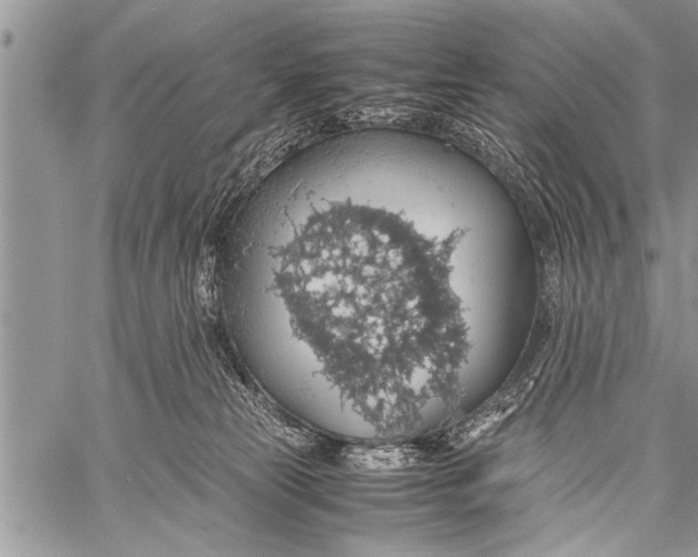 X0000058130181200510171346