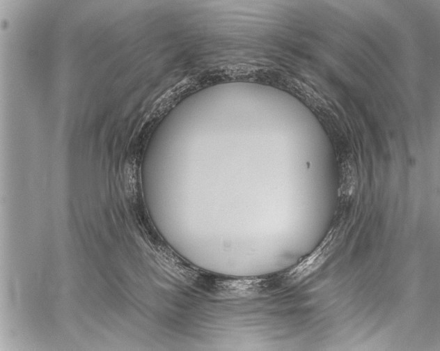 X0000058130184200510171346