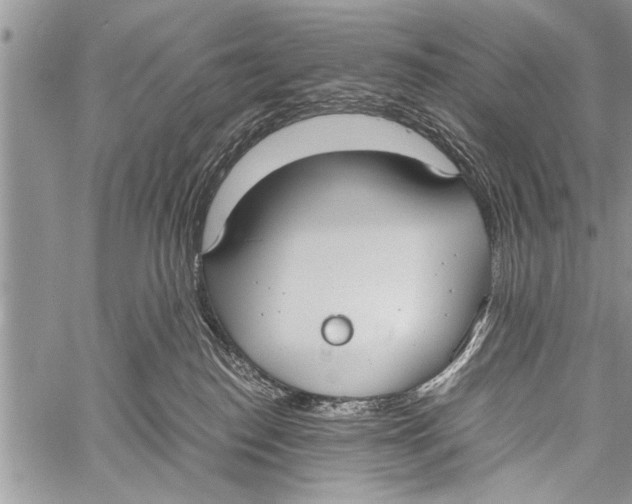 X0000058130186200510171346