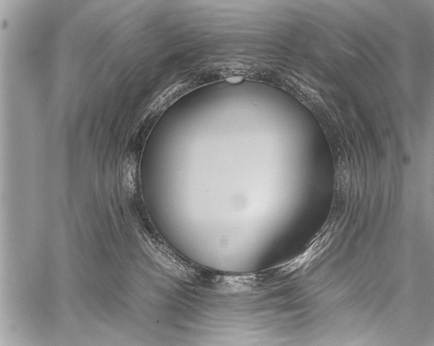 X0000058130188200510171346