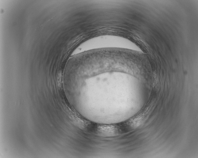 X0000058130189200510171346