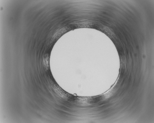 X0000058130190200510171346