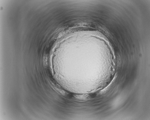 X0000058130191200510171346