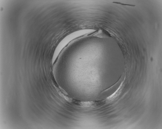 X0000058130192200510171346