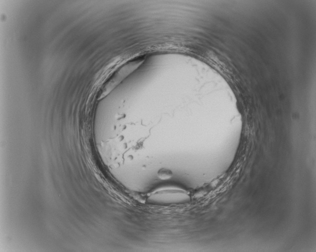 X0000058130193200510171345