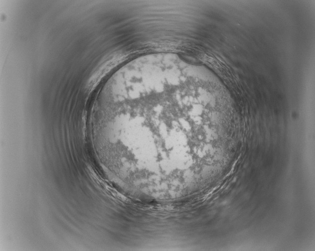 X0000058130194200510171345