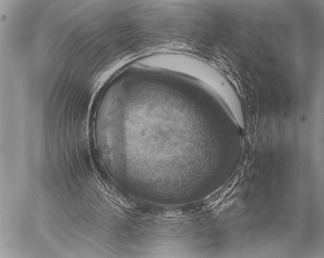 X0000058130196200510171345