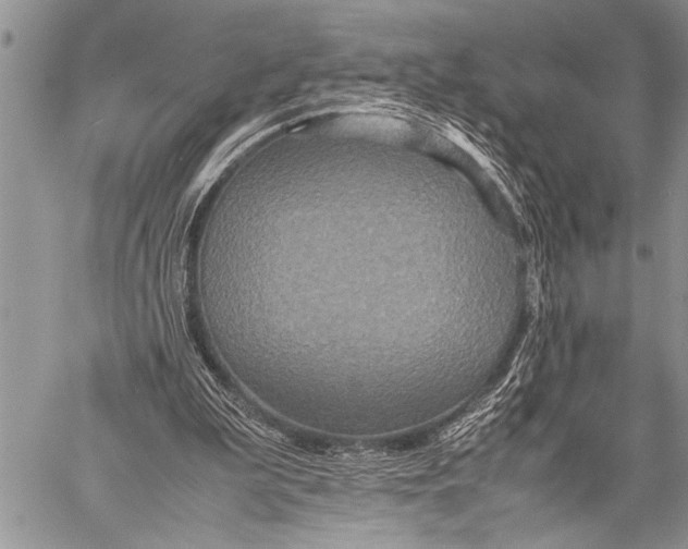 X0000058130199200510171345