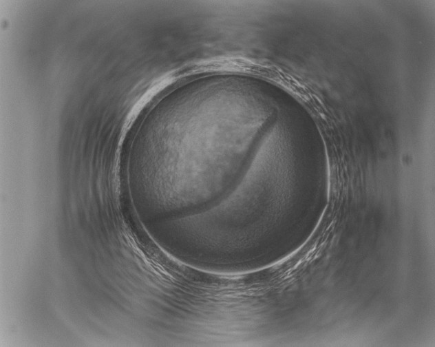 X0000058130200200510171345