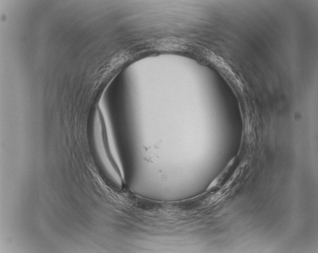 X0000058130201200510171345