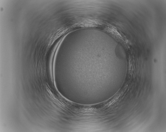 X0000058130202200510171345