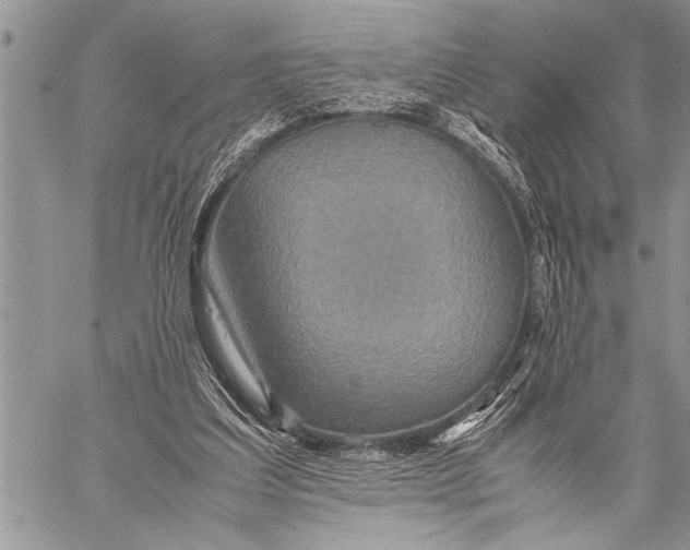 X0000058130203200510171345