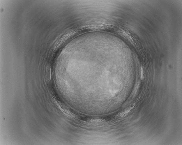 X0000058130205200510171345