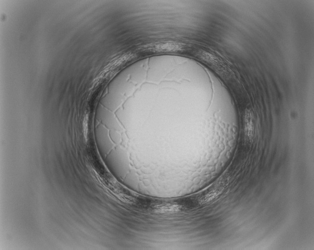 X0000058130206200510171345