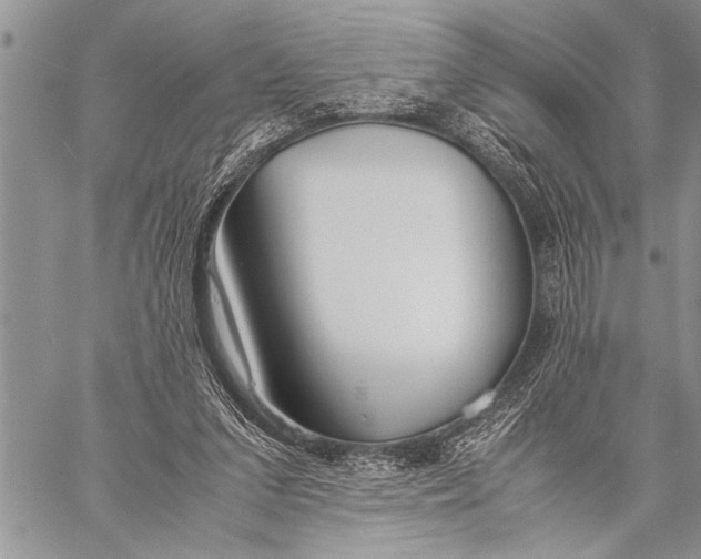 X0000058130207200510171345