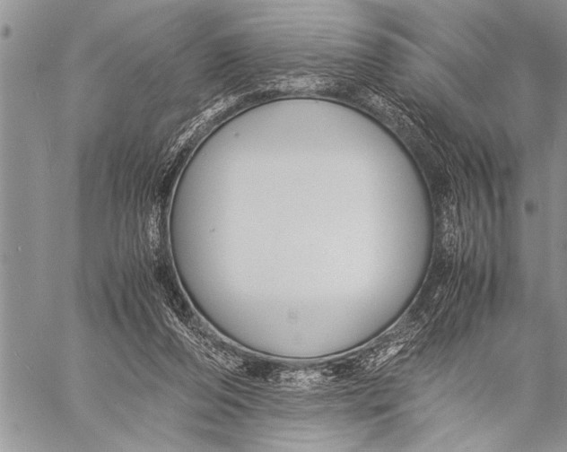 X0000058130208200510171345