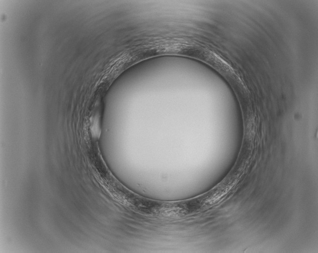 X0000058130209200510171345