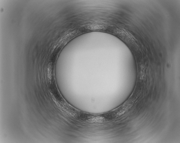 X0000058130210200510171345