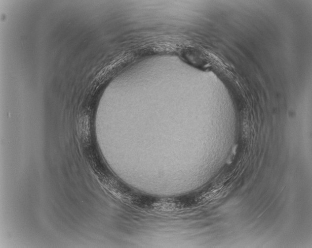 X0000058130211200510171345