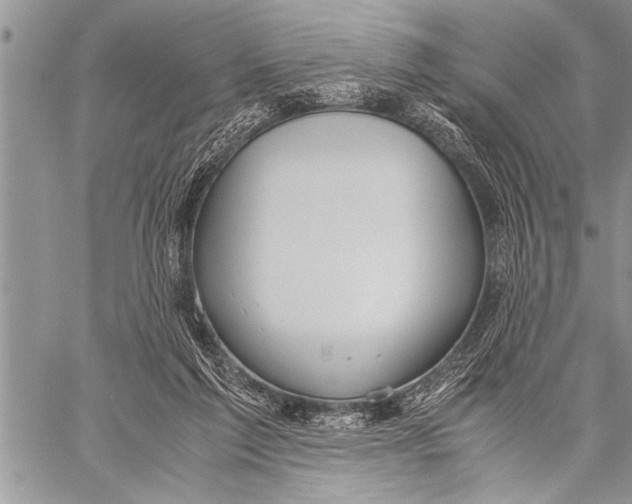 X0000058130213200510171345