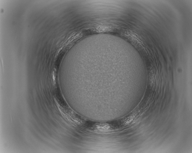 X0000058130214200510171345