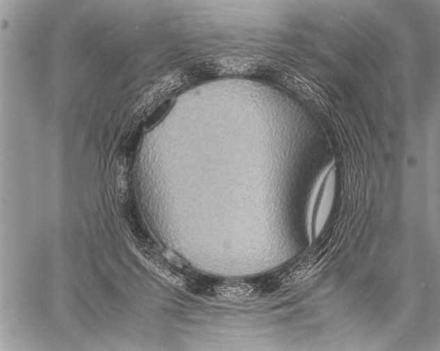 X0000058130215200510171345