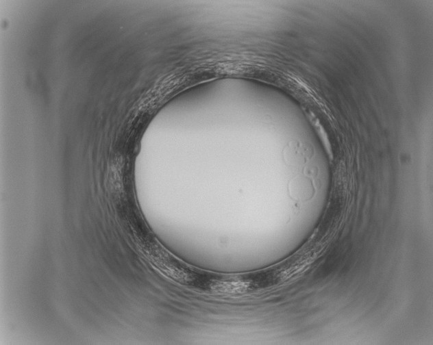 X0000058130217200510171345