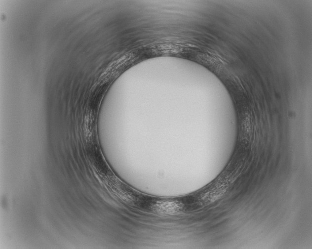 X0000058130218200510171345