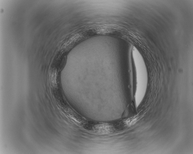 X0000058130219200510171345