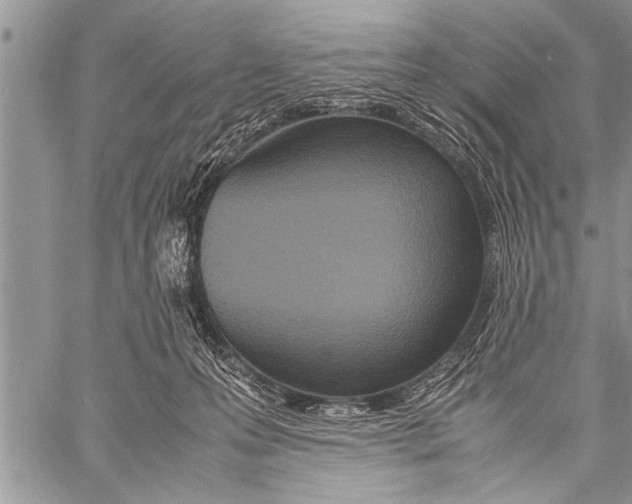 X0000058130223200510171345