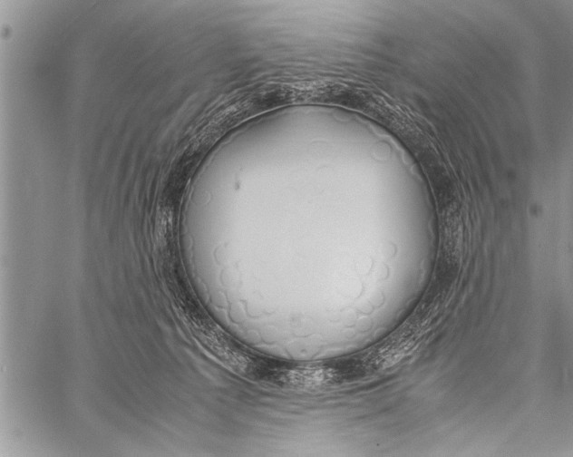 X0000058130225200510171345