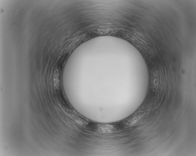 X0000058130226200510171344