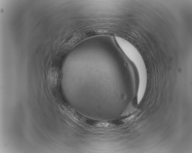 X0000058130227200510171344