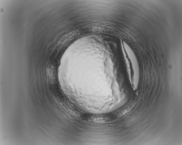 X0000058130228200510171344