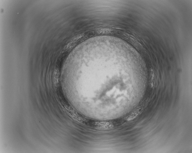 X0000058130230200510171344