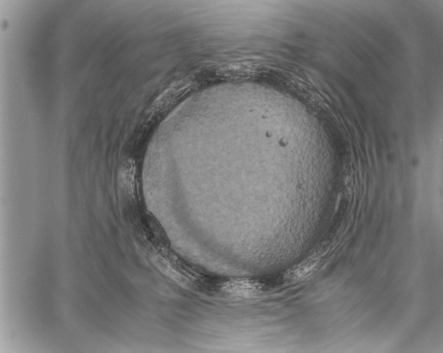 X0000058130231200510171344